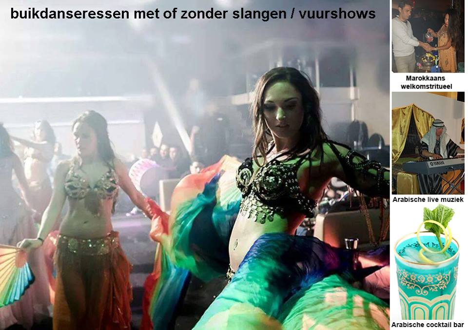 Buikdanseressen Themafeest